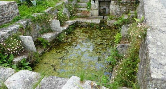 Fontaine de l'arbre du Chapon - Saint Evarzec