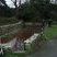 Lavoir de Prat-coulm