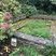 Lavoir de Tremor