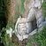 Fontaine de la Clarté Saint Eloi (Guilligomarch)