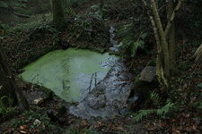 Lavoir de Suscinio
