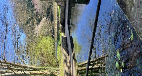 Lavoir rive droite du Stang Alar -BREST