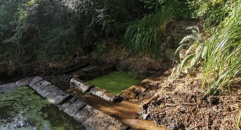 Lavoir, fontaine et cressonnière (?)