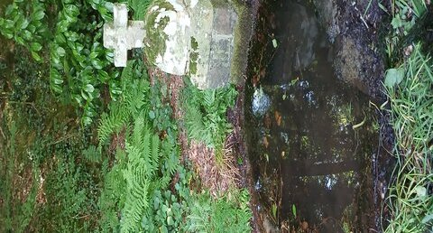 Fontaine Sainte Gertrude (Locunolé)