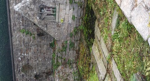 Fontaine Saint Conogan (Lanvenegen)