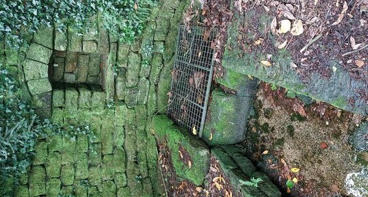 Fontaine Sainte candide, TOURCH