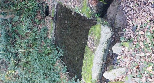 Lavoir de kerdaniou, LA FORET FOUESNANT