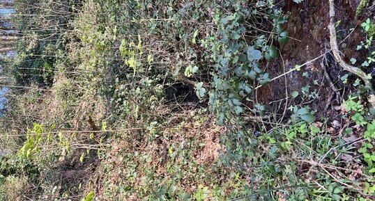 Résurgence rive gauche du Stang Alar