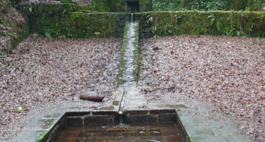 Fontaine et bassin de la carrière romaine de Locuon-Ploerdut